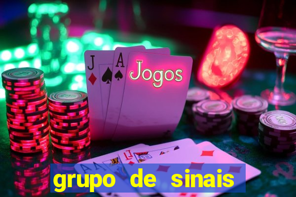 grupo de sinais fortune rabbit